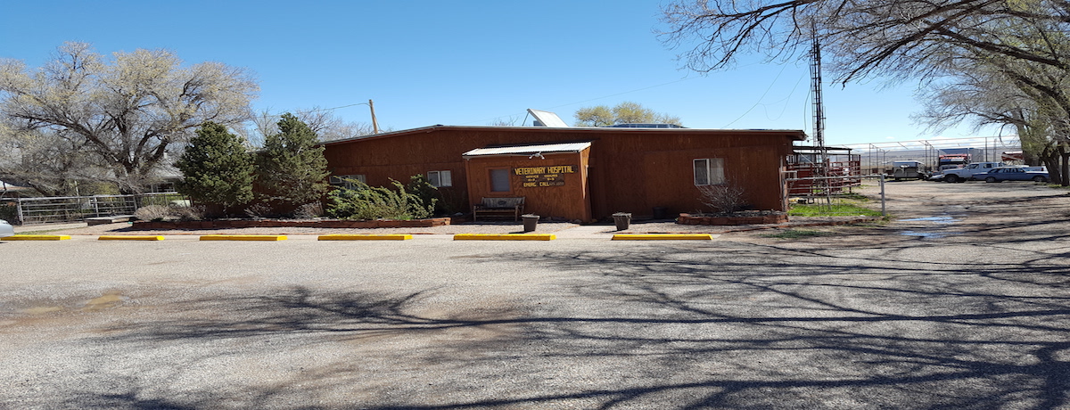 Las Vegas-San Miguel Veterinary Hospital | Serving large and small animals
